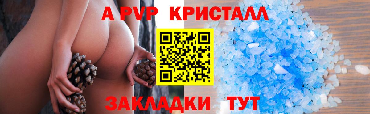А ПВП СК Будённовск