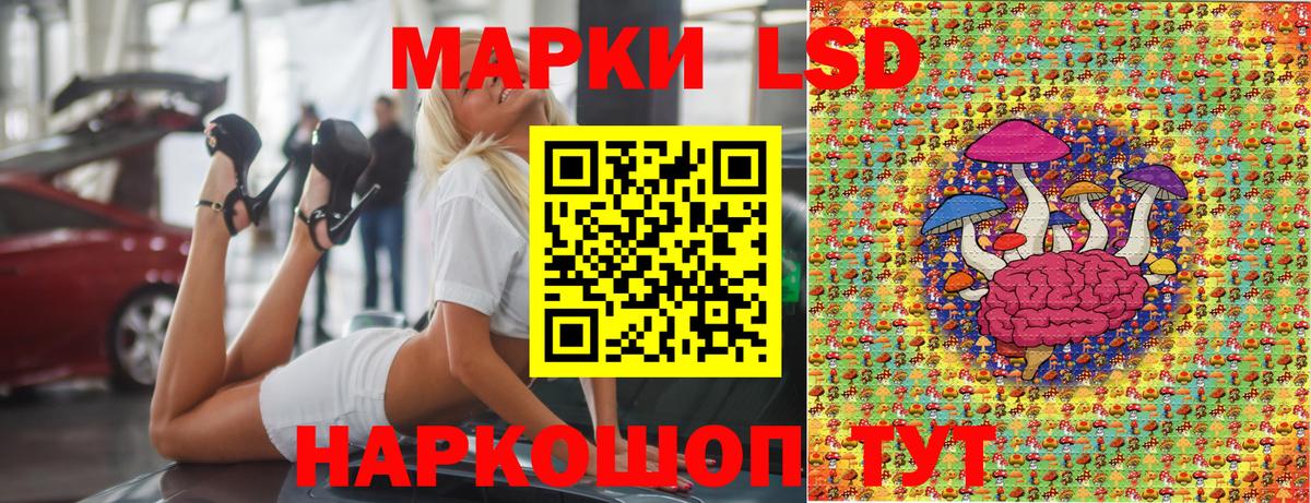Марки NBOMe 1,8мг Будённовск
